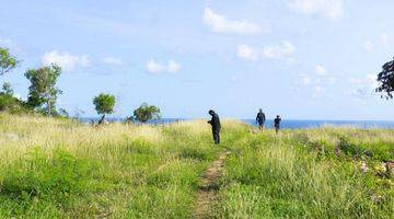 Gambar 4 Tanah di Pantai nyangyang 30 are SHM pink zone