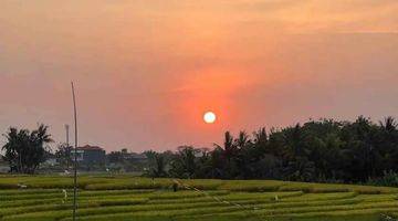 Gambar 1 Tanah Kontrakan 67,25 are SHM Main Road Tanah Lot