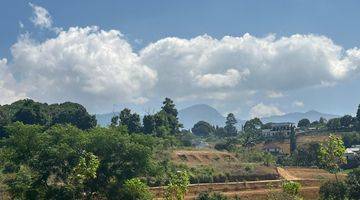 Gambar 1 Tanah 1000 m² SHM Di Puncak Bogor Nego Pemilik