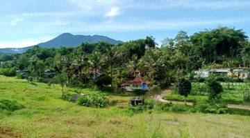 Gambar 1 Tanah hak milik cocok untuk villa di puncak bogor