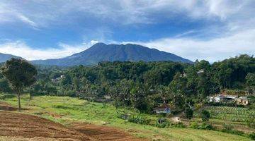 Gambar 5 Tanah SHM Jalan Bagus View Bagus Cocok Bangun Villa