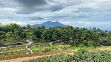 Gambar 1 Tanah SHM Megamendung Puncak Bogor Cocok Untuk Villa