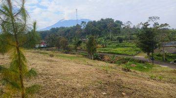 Gambar 2 Tanah 500m² SHM Cisarua Taman Safari Ada Air Sungai View Bagus