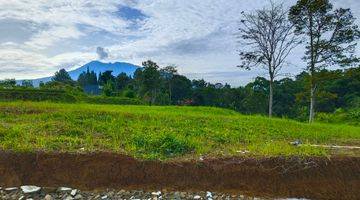 Gambar 4 Tanah SHM Megamendung Puncak Bogor Dekat Exit Tol Gadog