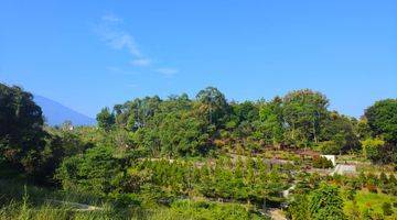 Gambar 3 Tanah Strategis 250m² View Gunung Di Megamendung Puncak Bogor