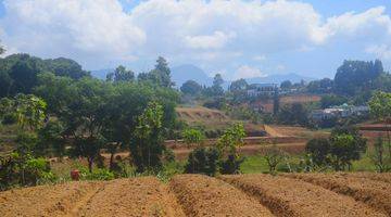 Gambar 3 Tanah 500 m² SHM View Perbukitan Di Puncak Bogor