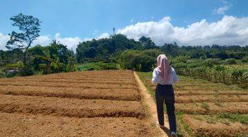 Gambar 1 Tanah 500 m² SHM View Perbukitan Di Puncak Bogor