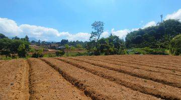 Gambar 2 Tanah 500 m² SHM View Perbukitan Di Puncak Bogor