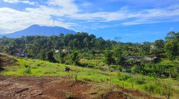 Gambar 5 Tanah SHM 1.000 m² Di Citeko Cisarua Puncak Bogor