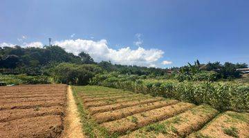 Gambar 2 Tanah 1000 m² SHM Di Puncak Bogor Nego Pemilik