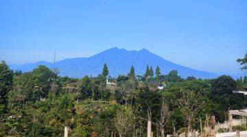 Gambar 2 Tanah 573 m² SHM Puncak Bogor View Gunung