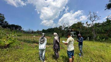 Gambar 1 Tanah 693 m² SHM Dekat Safari Puncak Bogor