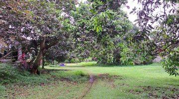 Gambar 2 Tanah di Jalan Alternatif Cibubur, Gunung Sindur Bogor