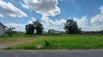 Gambar 5 Utara Bandara Adisucipto View Sawah