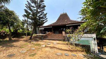 Gambar 3 Villa 5 BR Hanya 10 Menit Dari Batu Bolong Canggu Bali