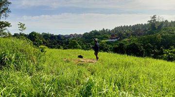 Gambar 1 Lahan Kosong Cocok Untuk Vill 