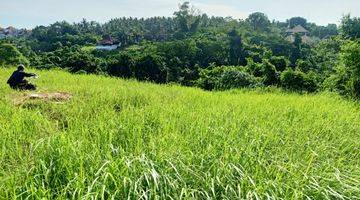 Gambar 2 Lahan Kosong Cocok Untuk Vill 