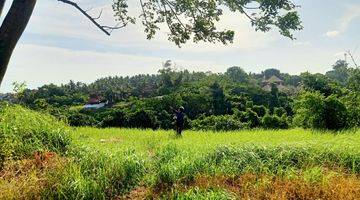 Gambar 4 Tanah Kosong Untuk Villa