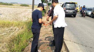 Gambar 1 Tanah di Kronjo, Balaraja, Tangerang SHM 72 Ha