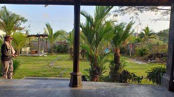 Gambar 2 Ricefield View 2 BR Private Villa for Rent in Ubud area