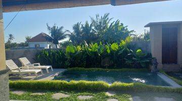 Gambar 4 Villa with ricefield view in Sayan, near Penestanan, Ubud 