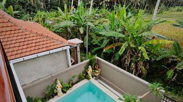 Gambar 1 2 Bedrooms Private Villa In Ubud Area Available Now