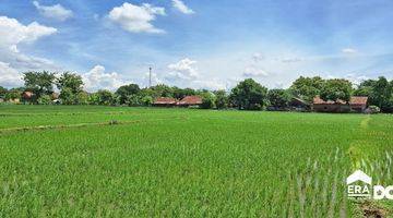 Gambar 1 Sebidang Sawah Aktif Dan Subur Dekat Jalan Utama Gebog Kudus