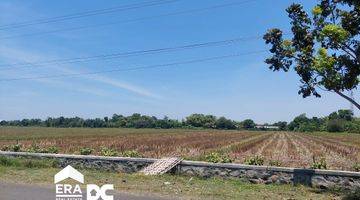 Gambar 1 Tanah Sawah Pinggir Jalan Damarsari Cepiring Kendal