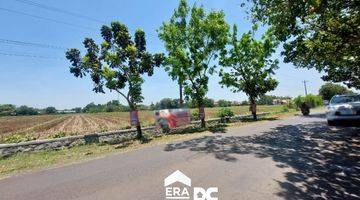 Gambar 5 Tanah Sawah Pinggir Jalan Damarsari Cepiring Kendal