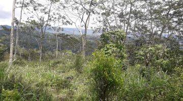 Gambar 4 Disewakan tanah di Batur kintamani view  gunung n danau