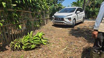 Gambar 4 Tanah Di Cianjur Lengkap Dengan Kebun Limo Produktif 