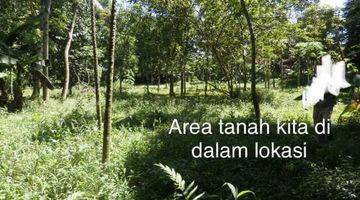 Gambar 1 Di Jual Tanah Mekar Sari Rumpin, Bogor SHM 5205 m²