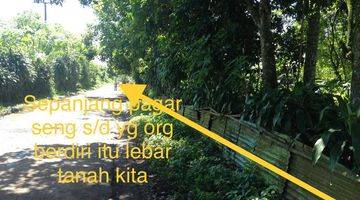 Gambar 5 Di Jual Tanah Mekar Sari Rumpin, Bogor SHM 5205 m²