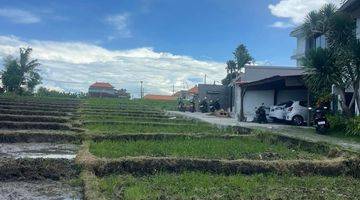 Gambar 3 Land for Lease in Canggu