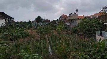 Gambar 2 Land for Lease in canggu Padonan Tibubeneng