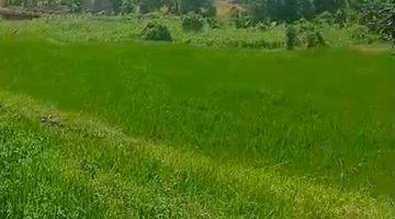 Gambar 4 Land for Lease in canggu Padonan