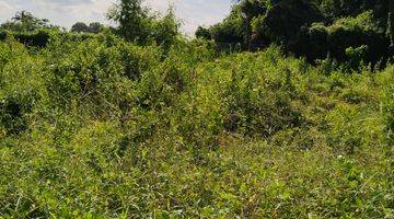 Gambar 2 Land for Lease in Pererenan Tumbak bayuh