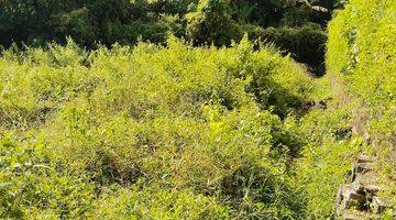 Gambar 3 Land for Lease in Pererenan Tumbak bayuh