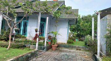 Gambar 2 Villa Palem Garden, Puncak Luas 29x18m2