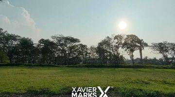 Gambar 1  Tanah Kavling di Cluster Graha Golf Utama Araya Malang Kota