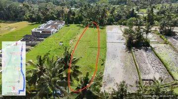 Gambar 1 Land For Leasehold Pejeng Kangin Tampak Siring Near Inter School