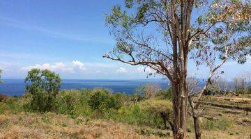 Gambar 1 DIJUAL TANAH DI DESA NUASA NUSA PENIDA DIRECT OCEAN VIEW