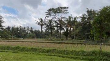 Gambar 2 Land For Leasehold Pejeng Kangin Tampak Siring Near Inter School