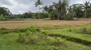 Gambar 5 Land For Leasehold Pejeng Kangin Tampak Siring Near Inter School