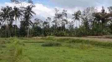 Gambar 3 Land For Leasehold Pejeng Kangin Tampak Siring Near Inter School