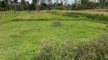 Gambar 4 Land For Leasehold Pejeng Kangin Tampak Siring Near Inter School