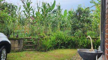 Gambar 1 Rumah Kebun View Gunung Salak