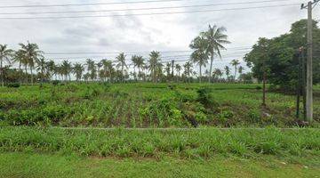 Gambar 5 Tanah Pinggir Jl. Lintas Sumatera Kalianda Lampung Selatan