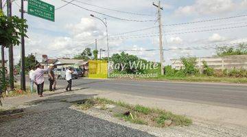 Gambar 1 Tanah Jl. Lintas Sumatera dekat gerbang Tol Gunung Sugih Lampung Tengah