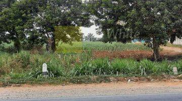 Gambar 3 Tanah Komersial jl. lintas terbanggi Lampung Tengah